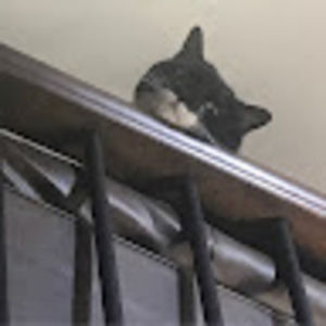 Meet your Posher, Kade